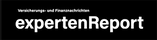 expertenreport